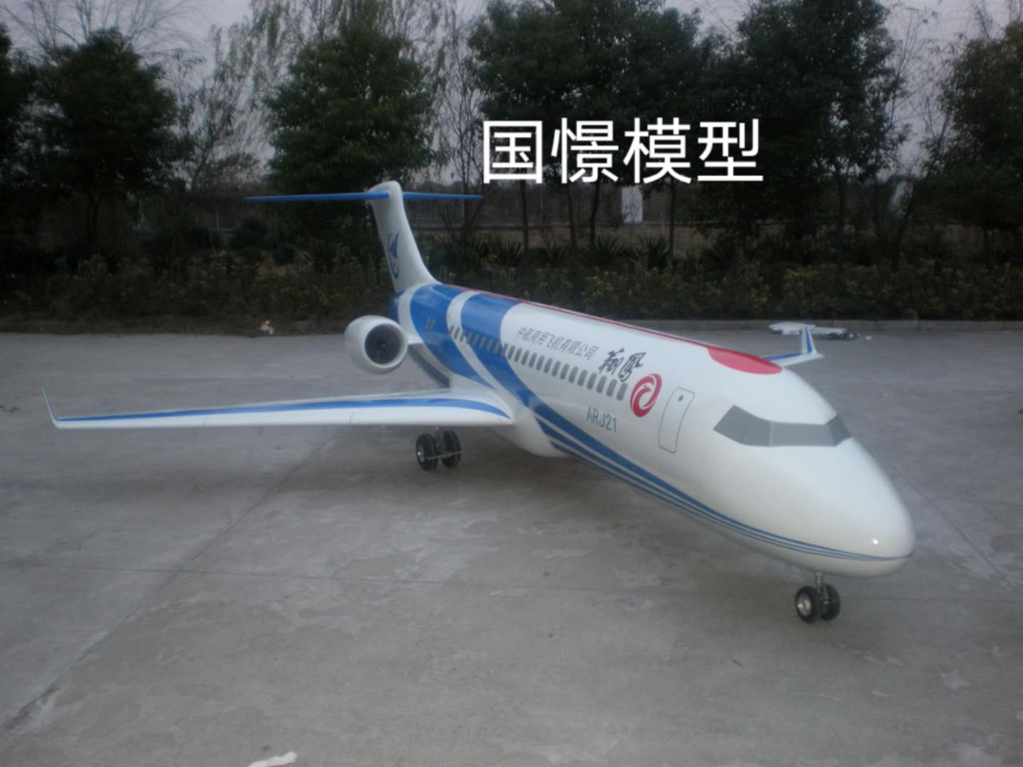 叶城县飞机模型