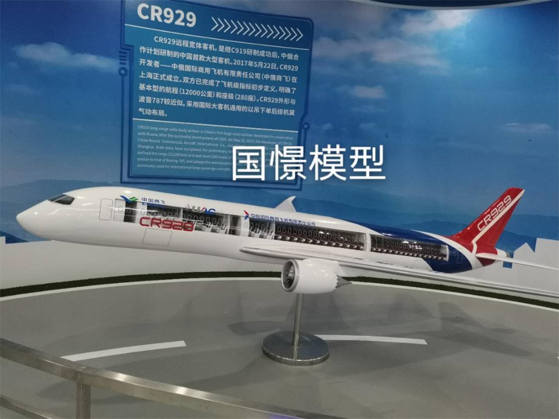 叶城县飞机模型